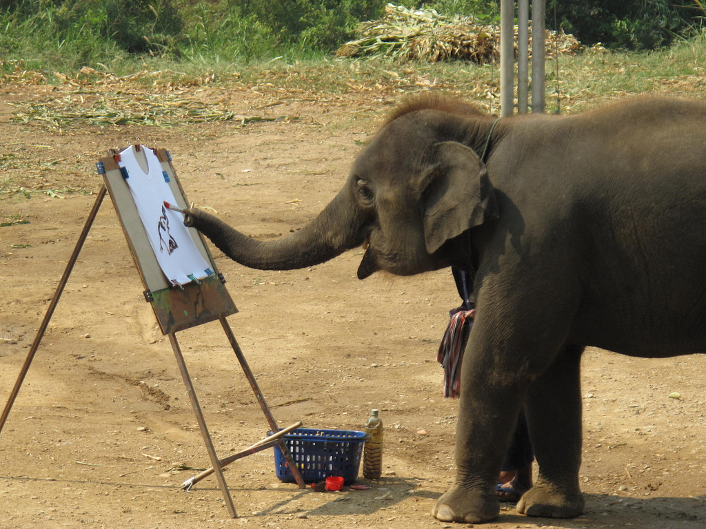 http://www.heatheronhertravels.com/wp-content/uploads/2009/03/elephant-painting-by-heatheronhertravels.jpg