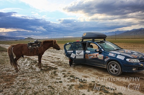Horse meets car in Mongolia on the Mongol Rally Photo Sherry Ott