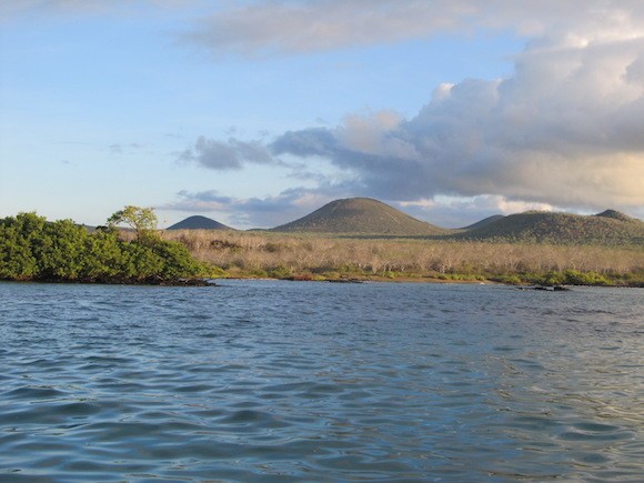 Remnants of volcanic activity in the Galapagos Islands Photo: Kate Convissor