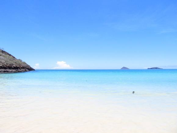 Pristine beaches and aquamarine waters in the Galapagos Islands Photo: Kate Convissor