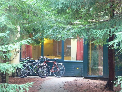 Cabin in the forest at Centerparcs, Longleat