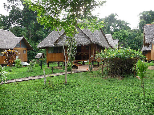 Tambopata Ecolodge Peru