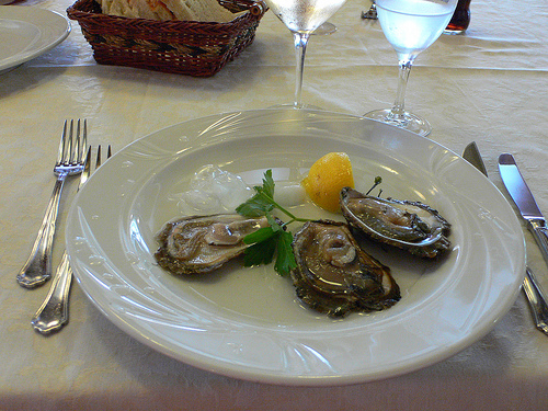 Oysters at Limski Channel Istria Croatia