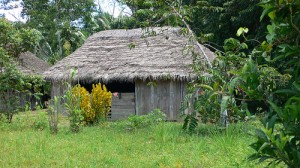 Rainforest Community at Sarayaku in Ecuador