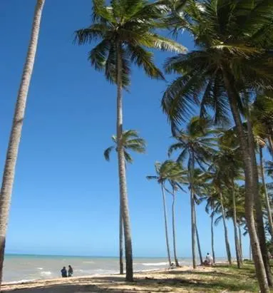 Typical Bahian Beach (Photo by Modi)