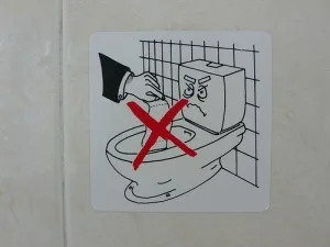 Greece Toilet paper sign!