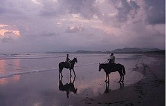 Horseriding along golden sandy beaches