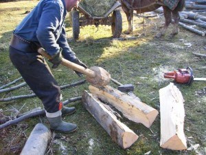 Men cutting wood in Sibiu