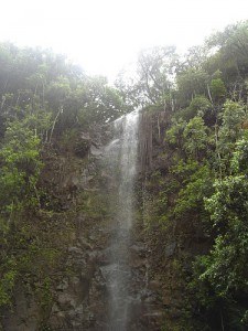 Secret Falls in Hawaii
