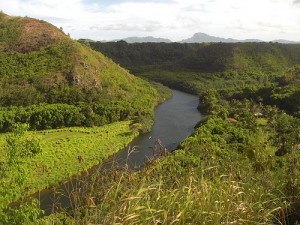 Wailua River in Hawaii
