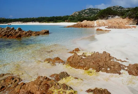 Sardinia