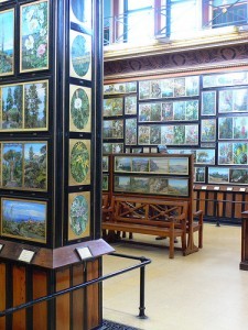 Paintings in the Marianne North Gallery at Kew