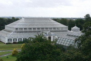 The Temperate House at Kew Gardens