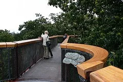 Treetop Walkway at Kew Gardens