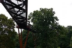 Treetop Walkway at Kew Gardens