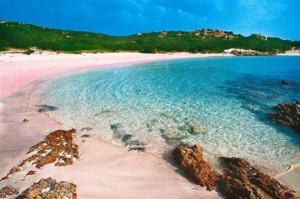 Pink beach Budelli la Maddalena