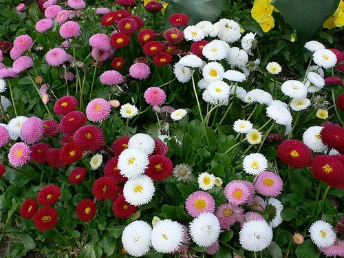 Mirabell Gardens, Salzburg