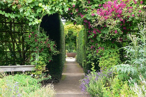 Visiting the Abbey House Gardens in Malmesbury Cotswolds