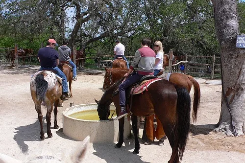 Silver Spur Ranch, Bandera, Texas Photo: Heatheronhertravels.com