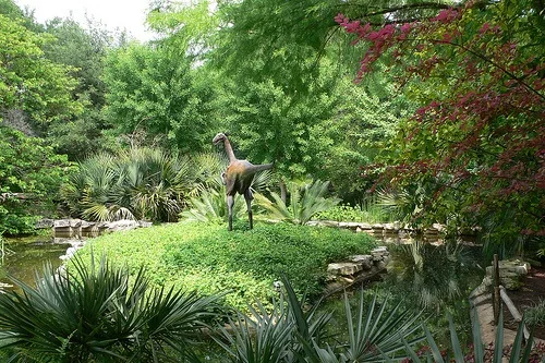 Zilker Botanical Gardens in Austin