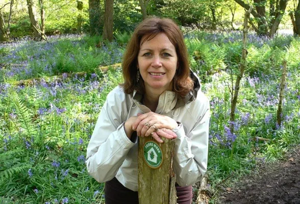 Bluebells in Prior's Wood, Nr Portbury, Bristol