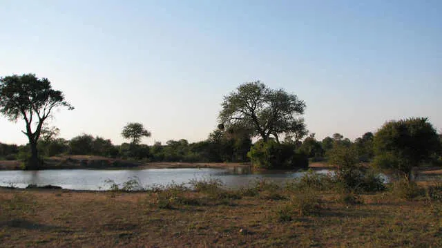 Sabi Sands Game Reserve Photo: Jeffrey Cammack