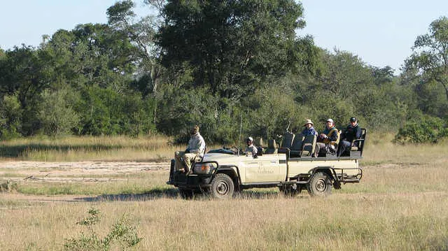 On Safari at Sabi Sands Game Reserve Photo: Jeffrey Cammack