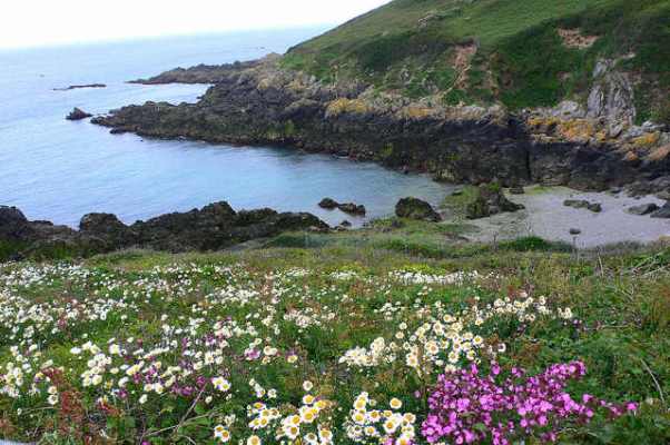 Nr Jerbourg Point on Guernsey