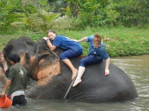 Baan Chang Elephant Home in Chiang Mai Photo: Sparky Sees the World