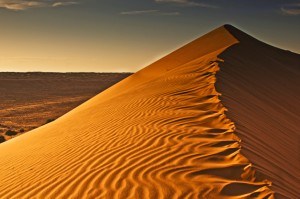 Shifting Desert Sands Photo: Iain Mallory