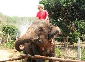 Playing with elephants in Chaing Mai