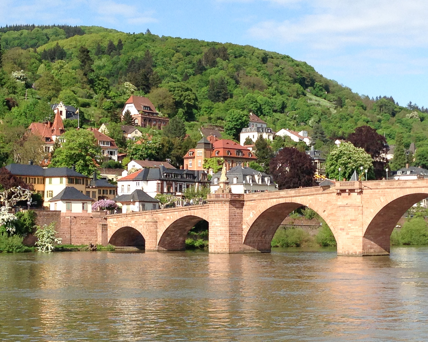 Heidelberg on our Rhine River Cruise Photo Heatheronhertravels.com