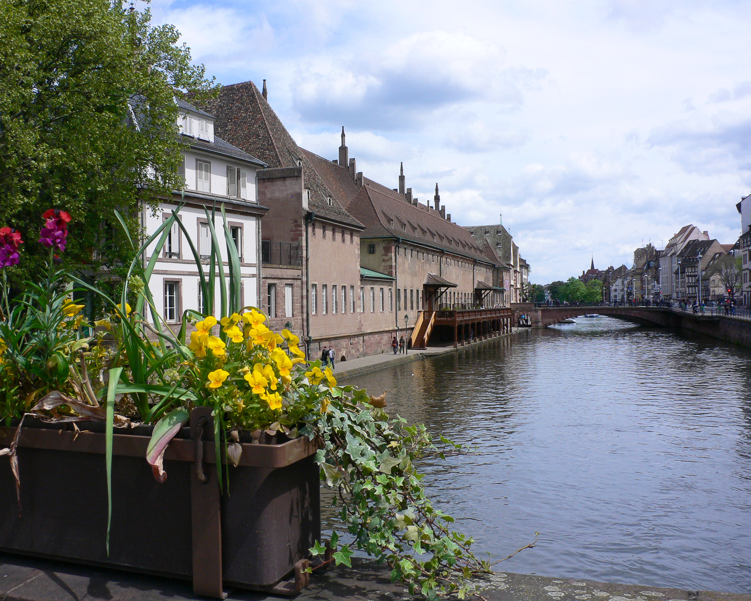 Strasbourg on our Rhine River Cruise Photo Heatheronhertravels.com