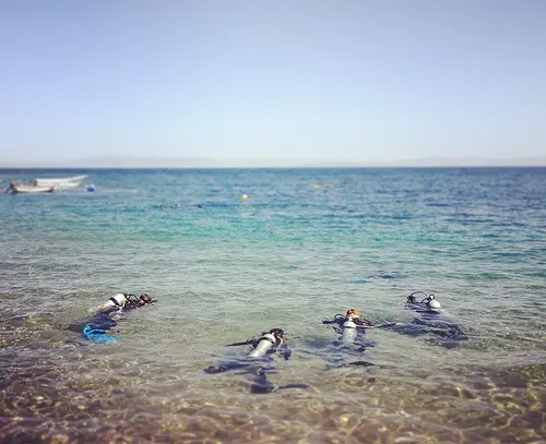 Divers at Dahab in Egypt Photo: Mina Mahrous (Dainute)