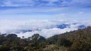 View above the clouds from Laban Rata