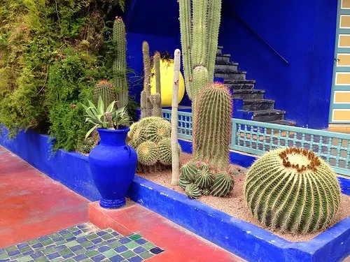 The Majorelle Gardens in Marrakech Photo: Heatheronhertravels.com