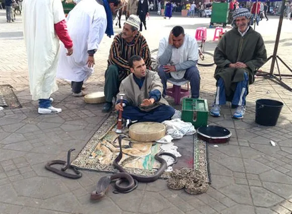 Snake Charmers in Jemaa El Fnaa in Marrakech Photo: Heatheronhertravels.com