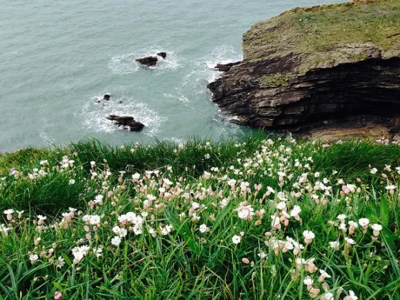 Near Broadhaven in Pembrokeshire Photo: Heatheronhertravels.com