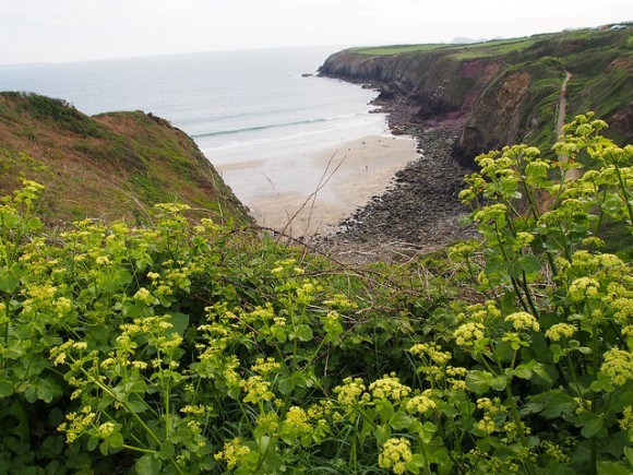 Near St David's Pembrokeshire Photo: Heatheronhertravels.com