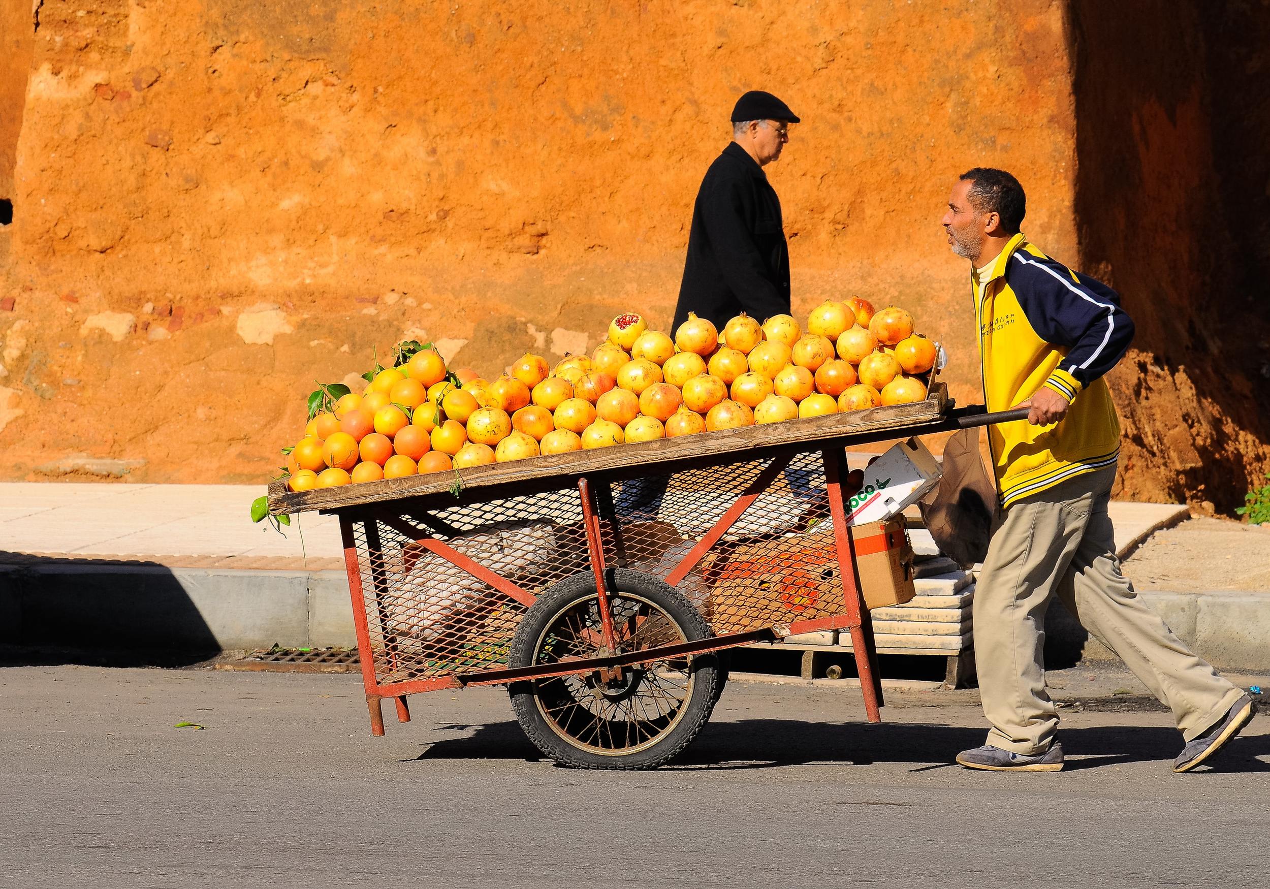 Oranges in Casablanca Photo by Eduardo C.G on Unsplash