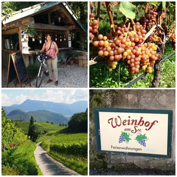 Exploring the small vineyards of the wine road in South Tyrol near Lake Caldaro / Kaltern Photo: Heatheronhertravels.com