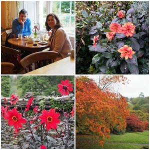 The Garden House in Yelverton, Devon