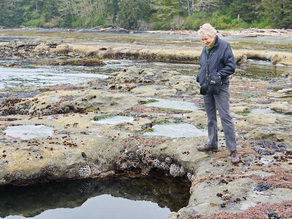 Botanical beach and Point No Point Photo: Hikebiketravel.com