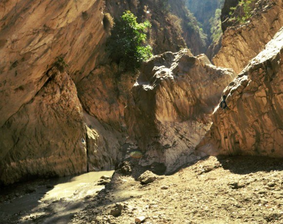 In the Saklikent Gorge Turkey Photo: Reka Kaponay