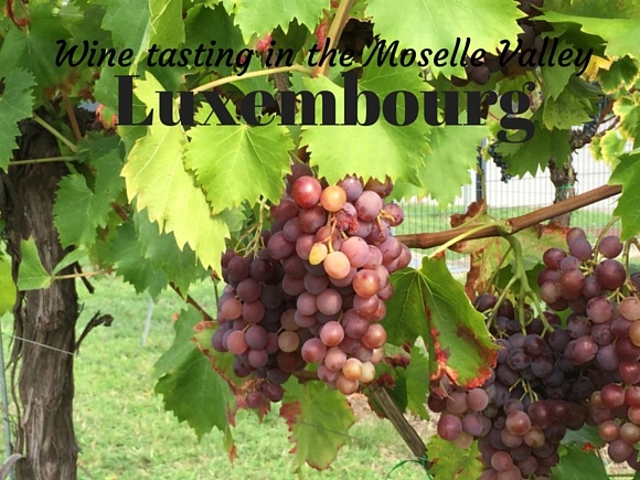 Wine tasting Moselle Valley Luxembourg Photo: Heatheronhertravels.com