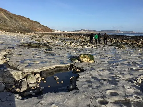 The ammonite pavement at Lyme Regis Photo: Heatheronhertravels