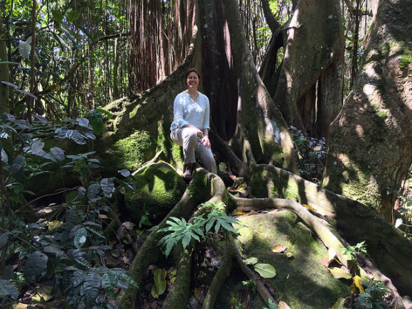 Rainforest Walk near the Wingfield Estate Heatheronhertravels.com