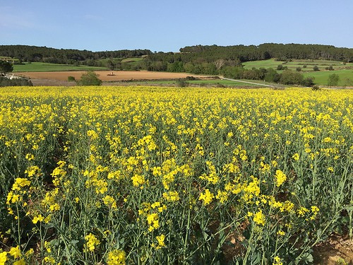 Costa Brava countryside Photo: Heatheronhertravels.com