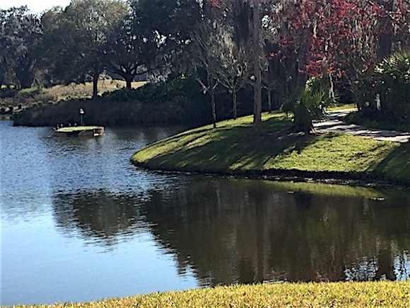 Sawgrass Marriott Hole In One