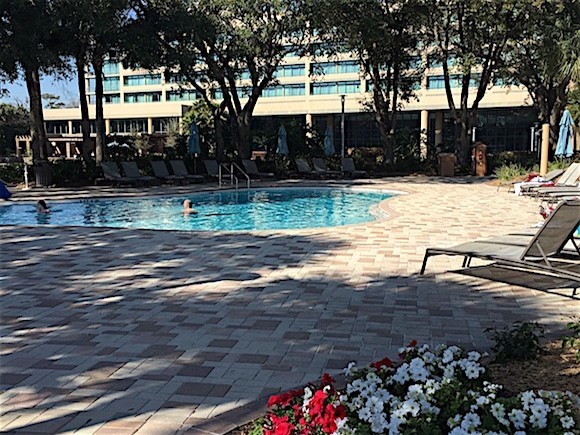 Sawgrass Marriott Pool